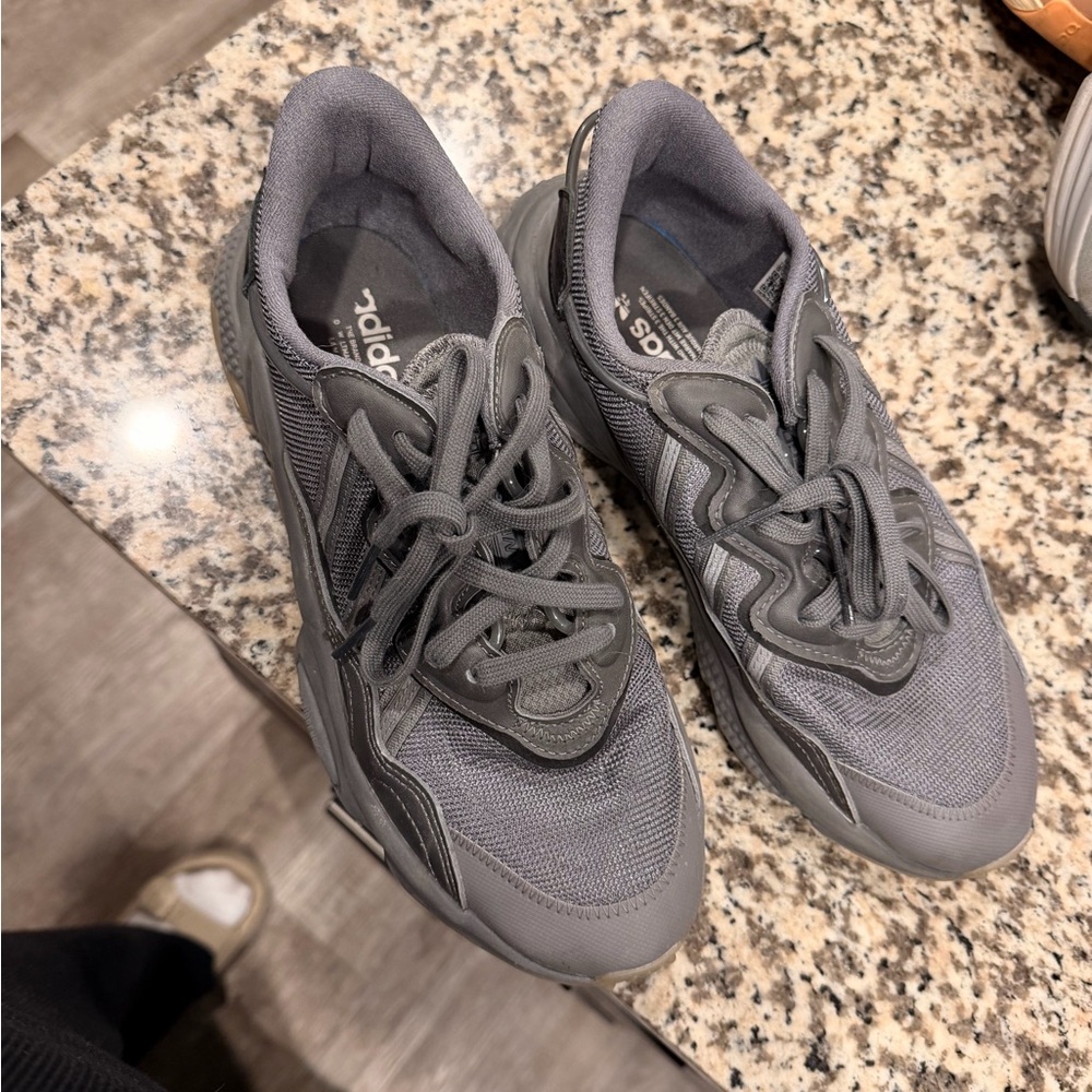 Adidas Ozweego Men's Gray Sneakers
